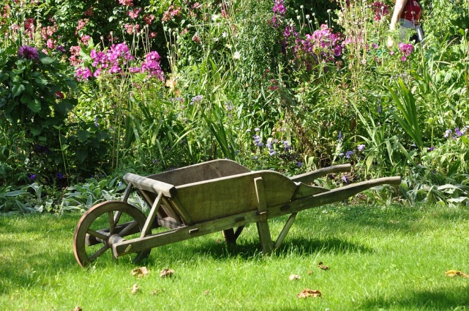 wheelbarrow-1232408_960_720